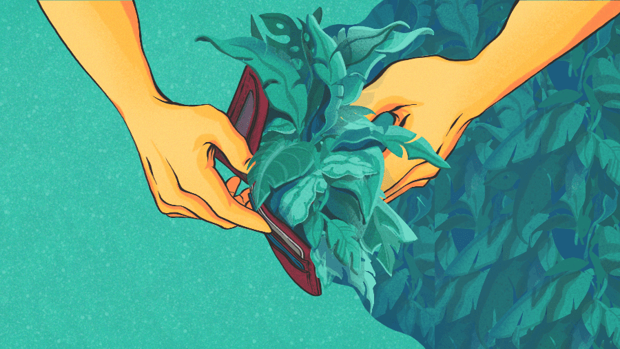 ilustración de verduras